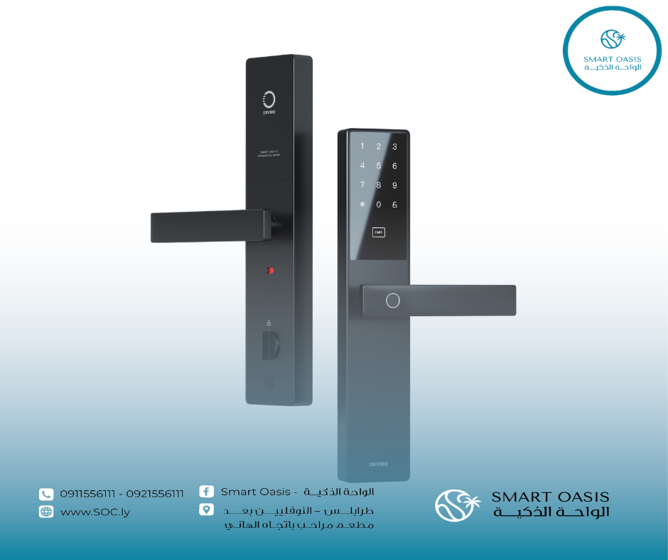 WiFi Smart Door Lock C1
